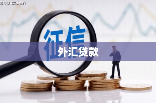 和美外汇贷款