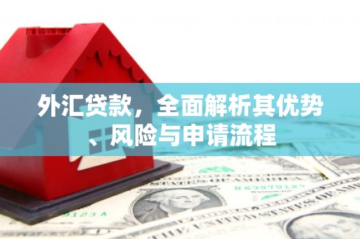 和美外汇贷款，全面解析其优势、风险与申请流程