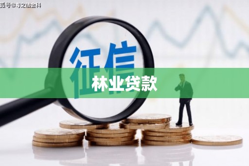 和美林业贷款
