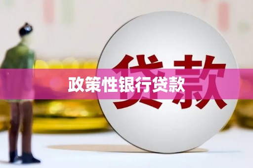 和美政策性银行贷款
