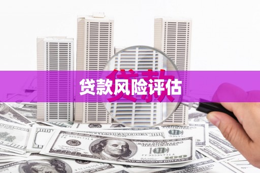 和美贷款风险评估