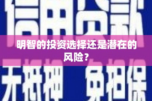和美明智的投资选择还是潜在的风险？