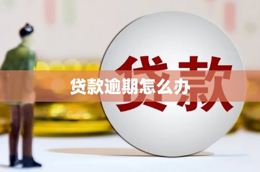 和美贷款逾期怎么办