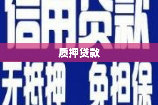 和美质押贷款