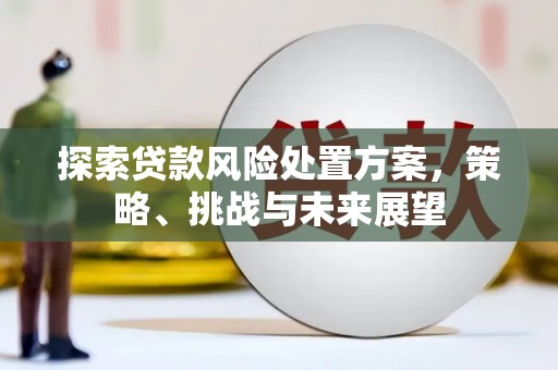 和美探索贷款风险处置方案，策略、挑战与未来展望