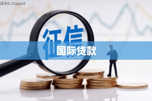 和美国际贷款