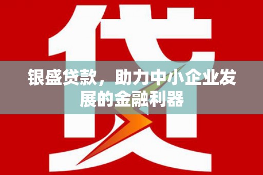 和美银盛贷款，助力中小企业发展的金融利器