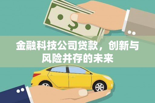和美金融科技公司贷款，创新与风险并存的未来