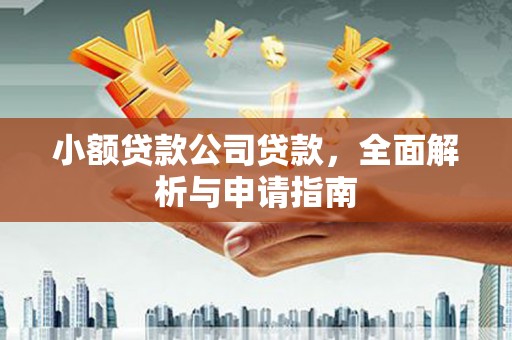 和美小额贷款公司贷款，全面解析与申请指南