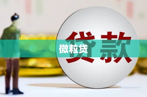 和美微粒贷