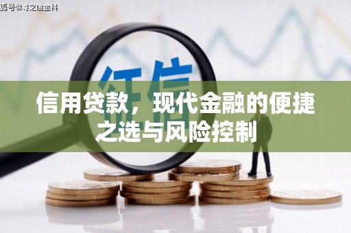 和美信用贷款，现代金融的便捷之选与风险控制