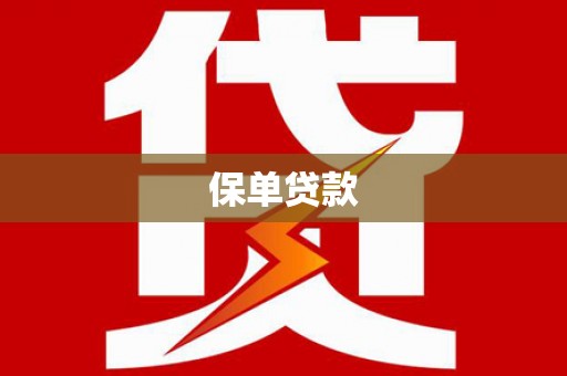 和美保单贷款