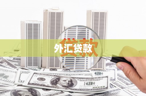 和美外汇贷款
