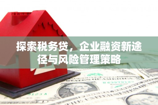 和美探索税务贷，企业融资新途径与风险管理策略