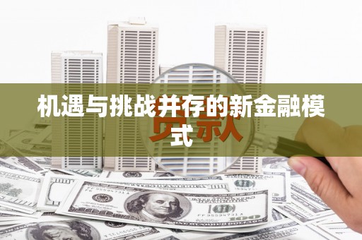 和美机遇与挑战并存的新金融模式