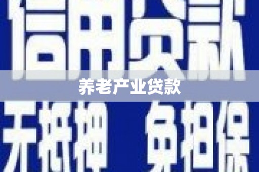 和美养老产业贷款
