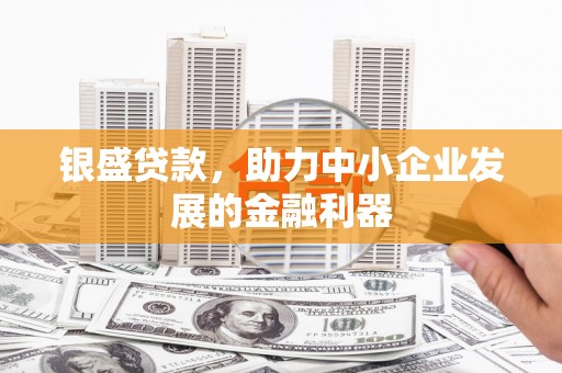和美银盛贷款，助力中小企业发展的金融利器