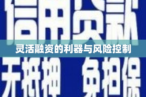 和美灵活融资的利器与风险控制