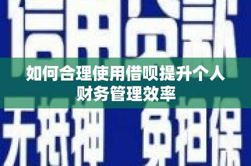 和美如何合理使用借呗提升个人财务管理效率
