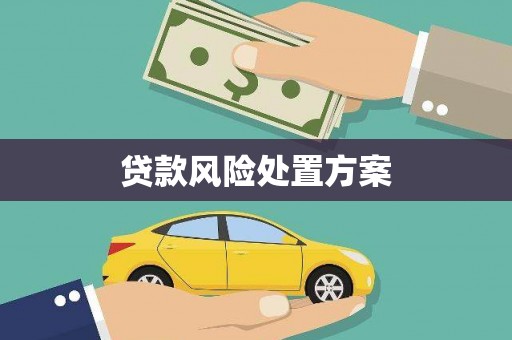 和美贷款风险处置方案