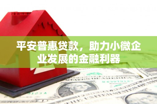 和美平安普惠贷款，助力小微企业发展的金融利器