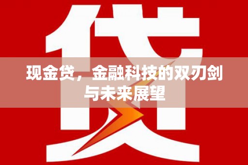 和美现金贷，金融科技的双刃剑与未来展望
