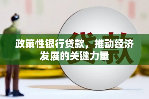 和美政策性银行贷款，推动经济发展的关键力量