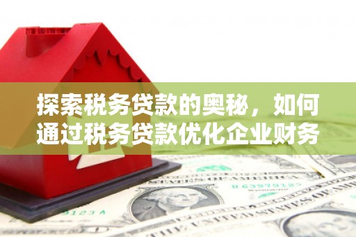 和美探索税务贷款的奥秘，如何通过税务贷款优化企业财务