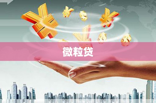 和美微粒贷
