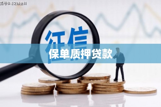和美保单质押贷款