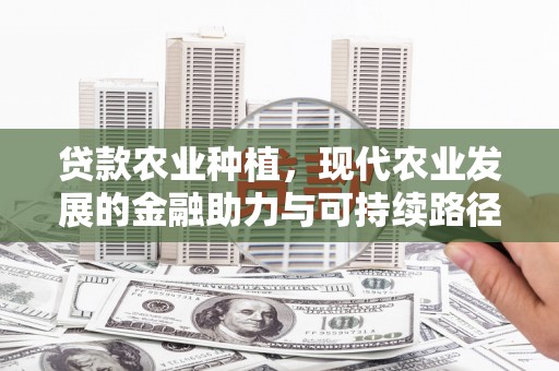 和美贷款农业种植，现代农业发展的金融助力与可持续路径
