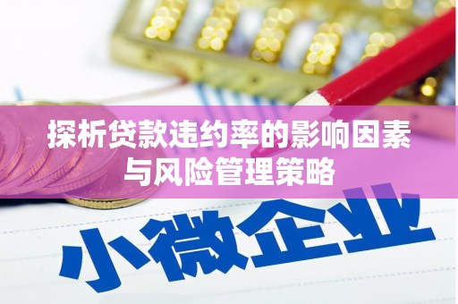 和美探析贷款违约率的影响因素与风险管理策略