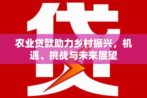 和美农业贷款助力乡村振兴，机遇、挑战与未来展望