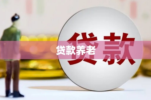 和美贷款养老