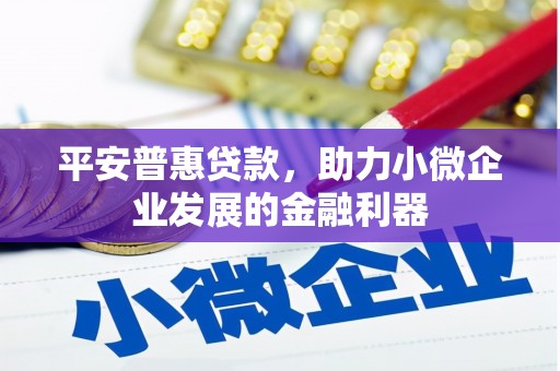 和美平安普惠贷款，助力小微企业发展的金融利器