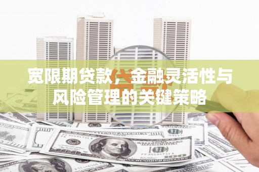 和美宽限期贷款，金融灵活性与风险管理的关键策略