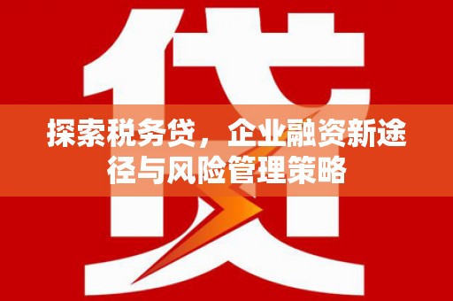 和美探索税务贷，企业融资新途径与风险管理策略