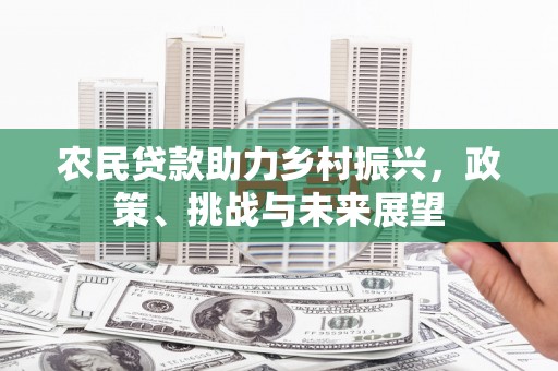 和美农民贷款助力乡村振兴，政策、挑战与未来展望