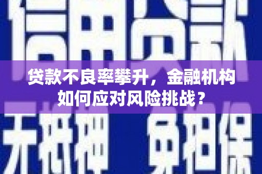 和美贷款不良率攀升，金融机构如何应对风险挑战？