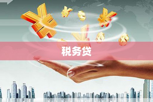 和美税务贷
