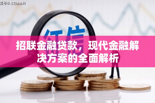 和美招联金融贷款，现代金融解决方案的全面解析