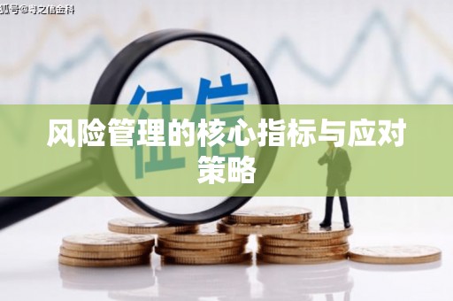 和美风险管理的核心指标与应对策略