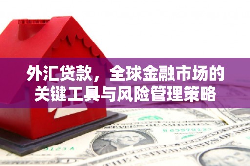 和美外汇贷款，全球金融市场的关键工具与风险管理策略