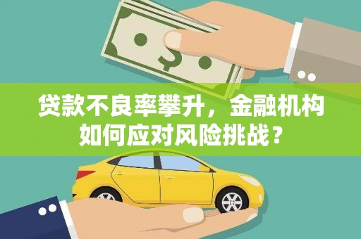 和美贷款不良率攀升，金融机构如何应对风险挑战？