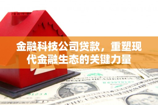 和美金融科技公司贷款，重塑现代金融生态的关键力量