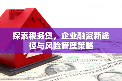 和美探索税务贷，企业融资新途径与风险管理策略