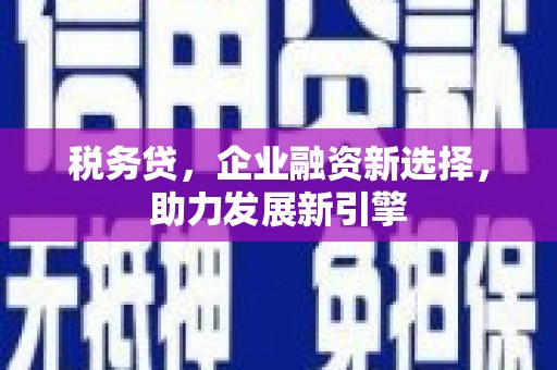 和美税务贷，企业融资新选择，助力发展新引擎