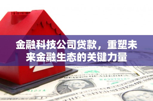 和美金融科技公司贷款，重塑未来金融生态的关键力量