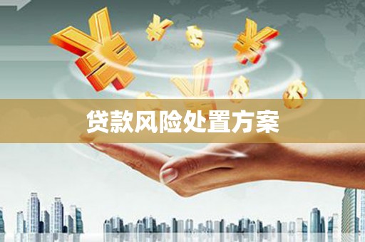 和美贷款风险处置方案