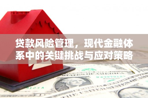 和美贷款风险管理，现代金融体系中的关键挑战与应对策略